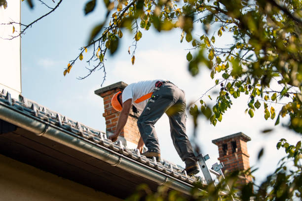 Best Metal Roofing Installation  in Norway, MI